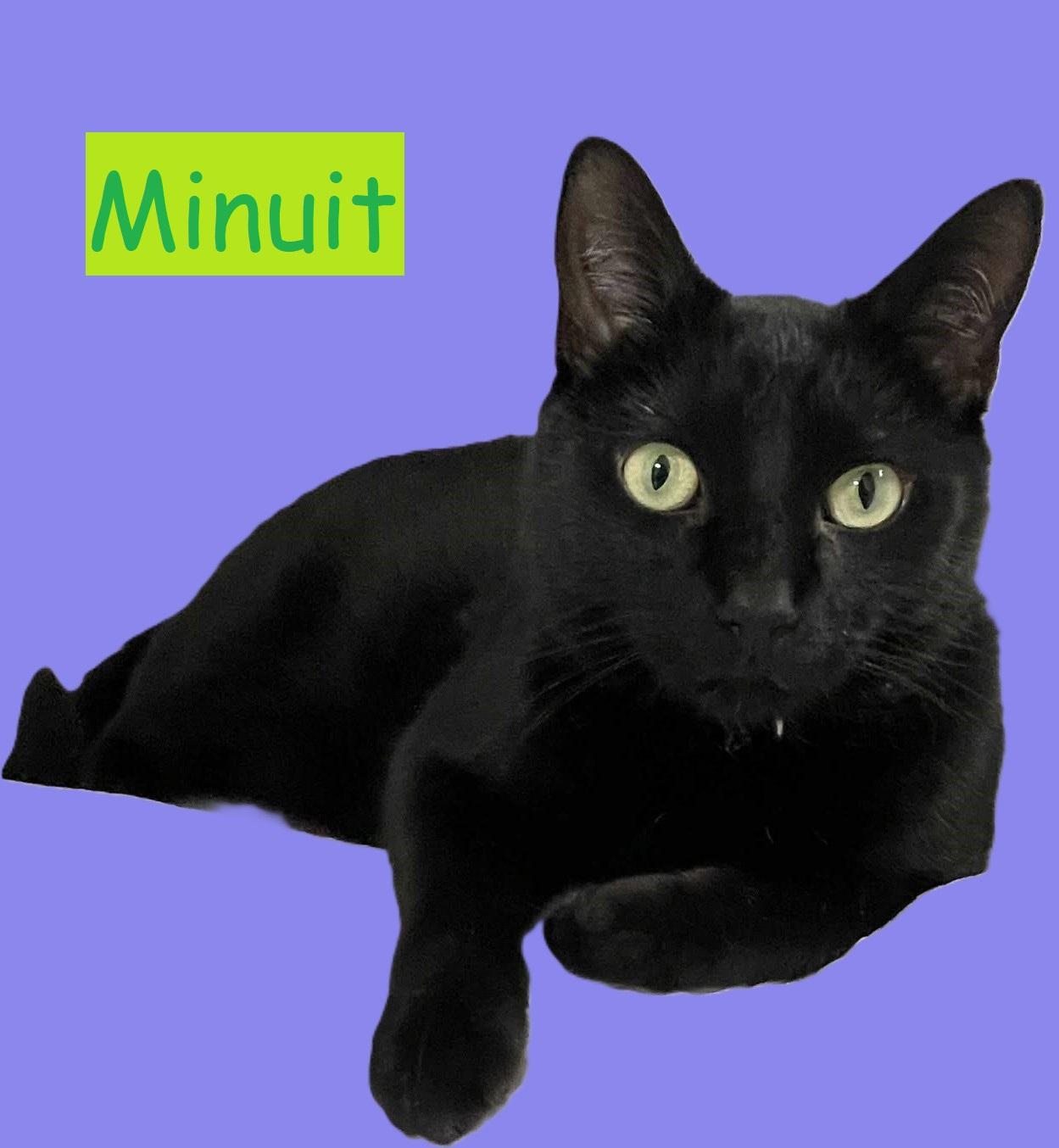 Mira et Minuit - Duo photo 2