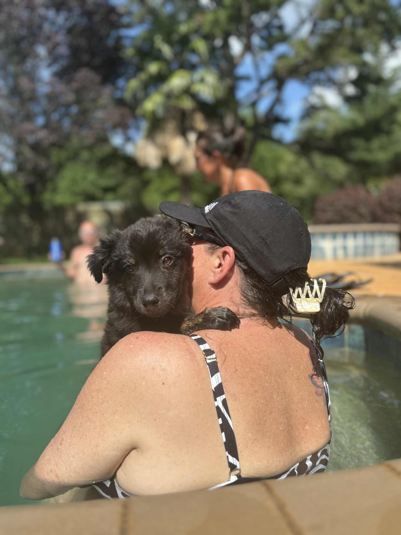 Nugget