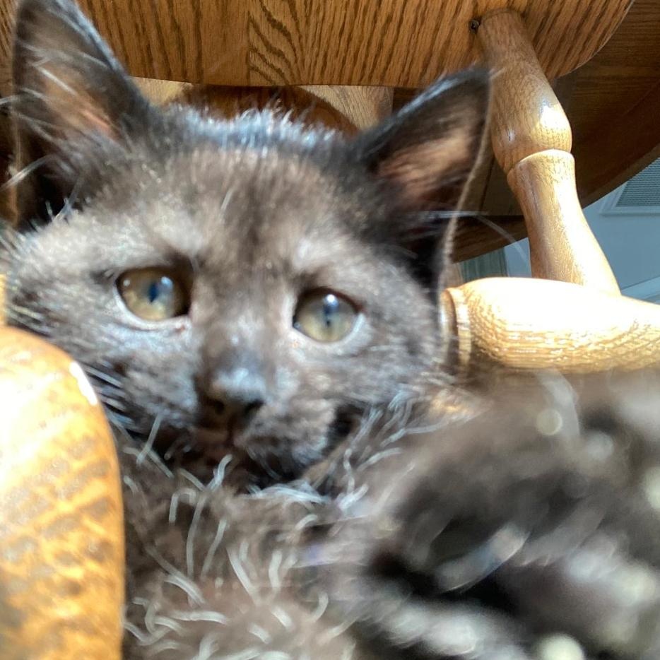 Cooper photo 4
