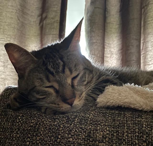 Eileen (tripod & gentle hearted warrior)