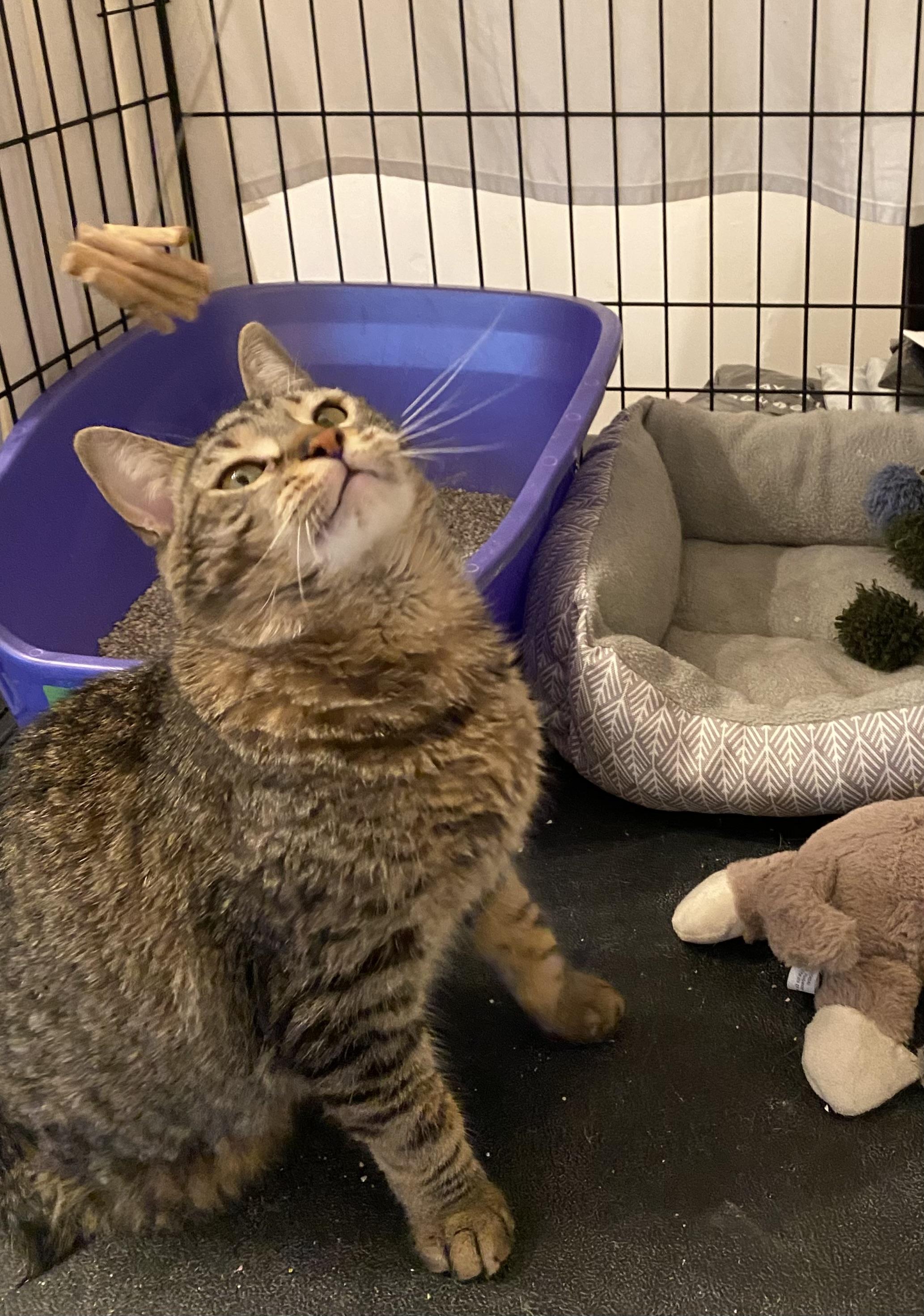 Eileen (tripod & gentle hearted warrior)