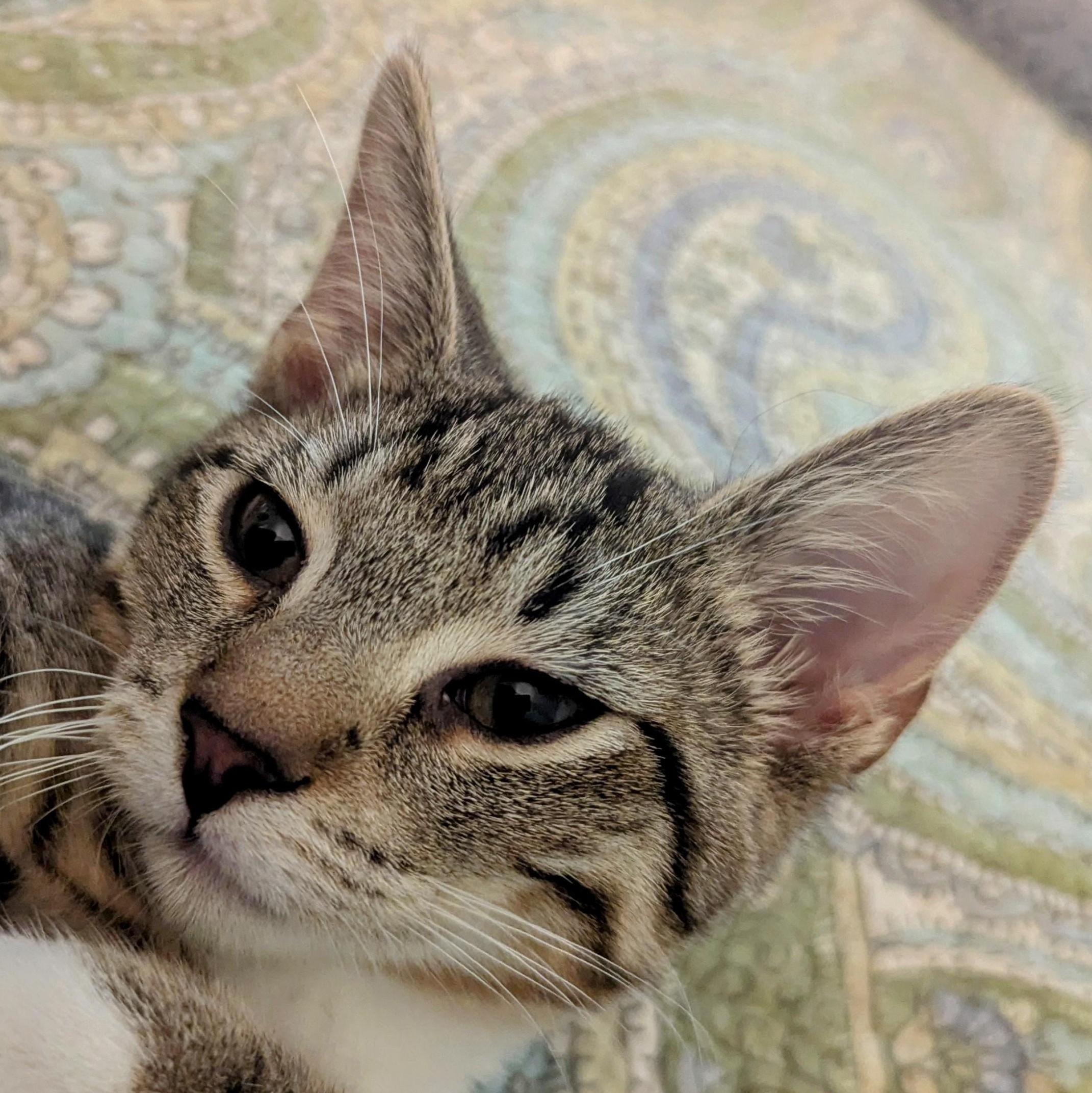 Esther