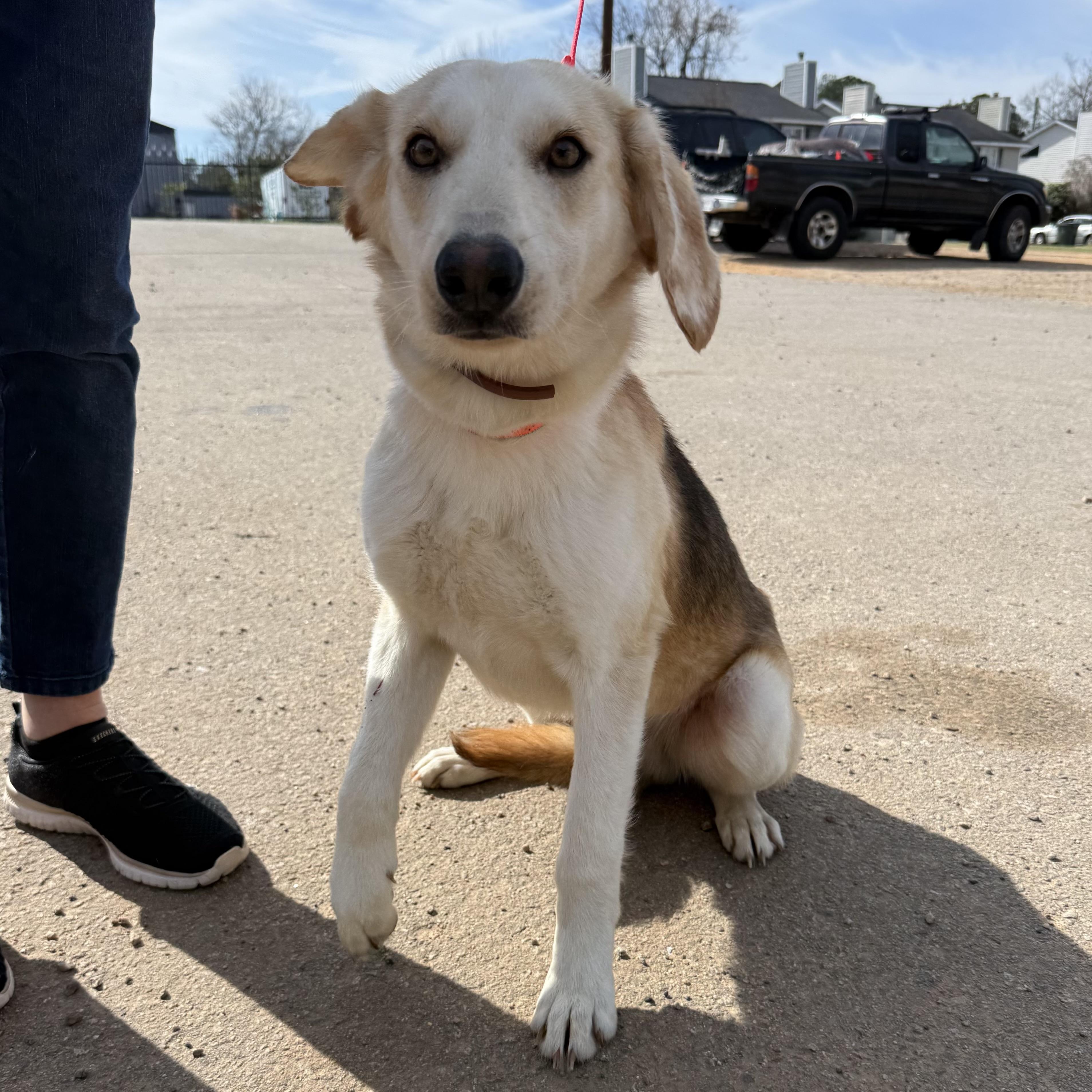 Marty — thumbnail 2