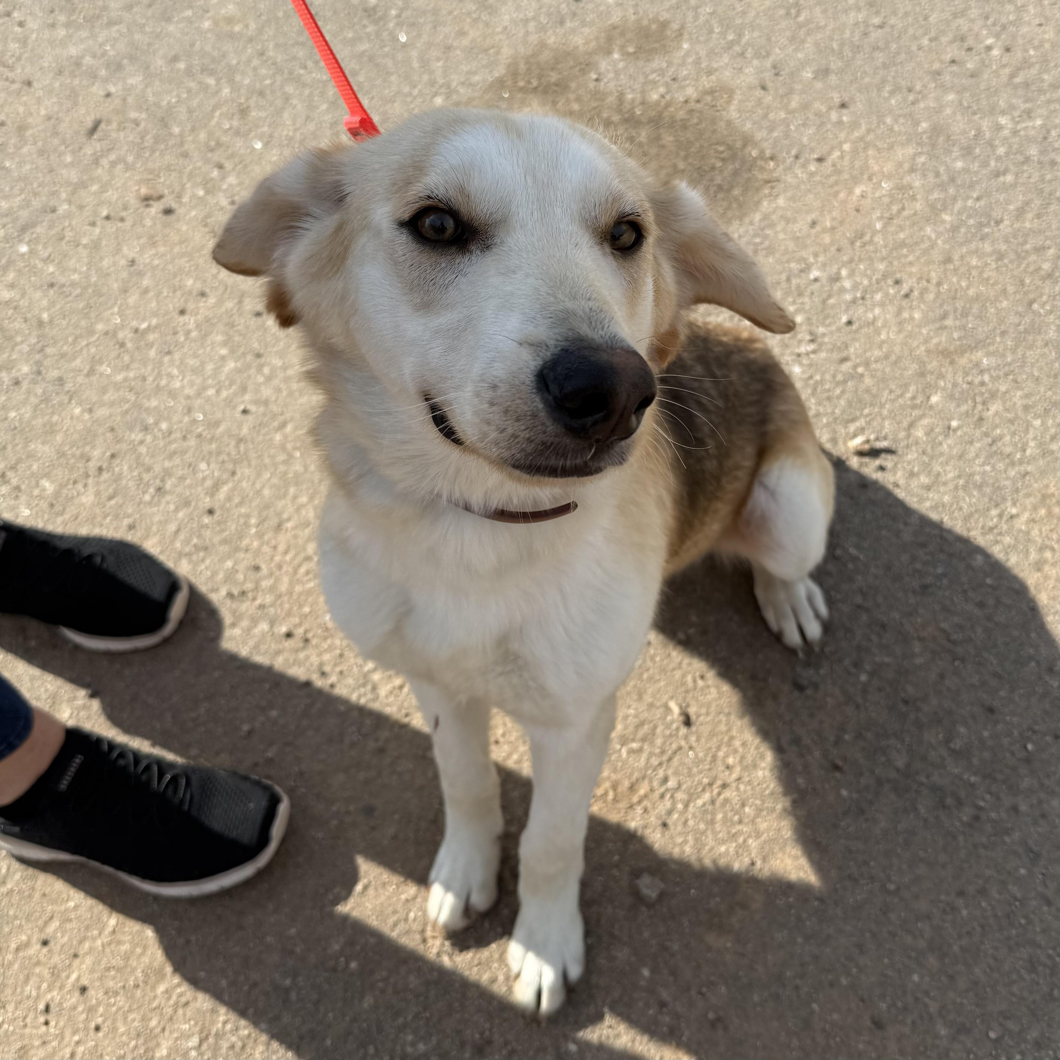 Marty — thumbnail 5