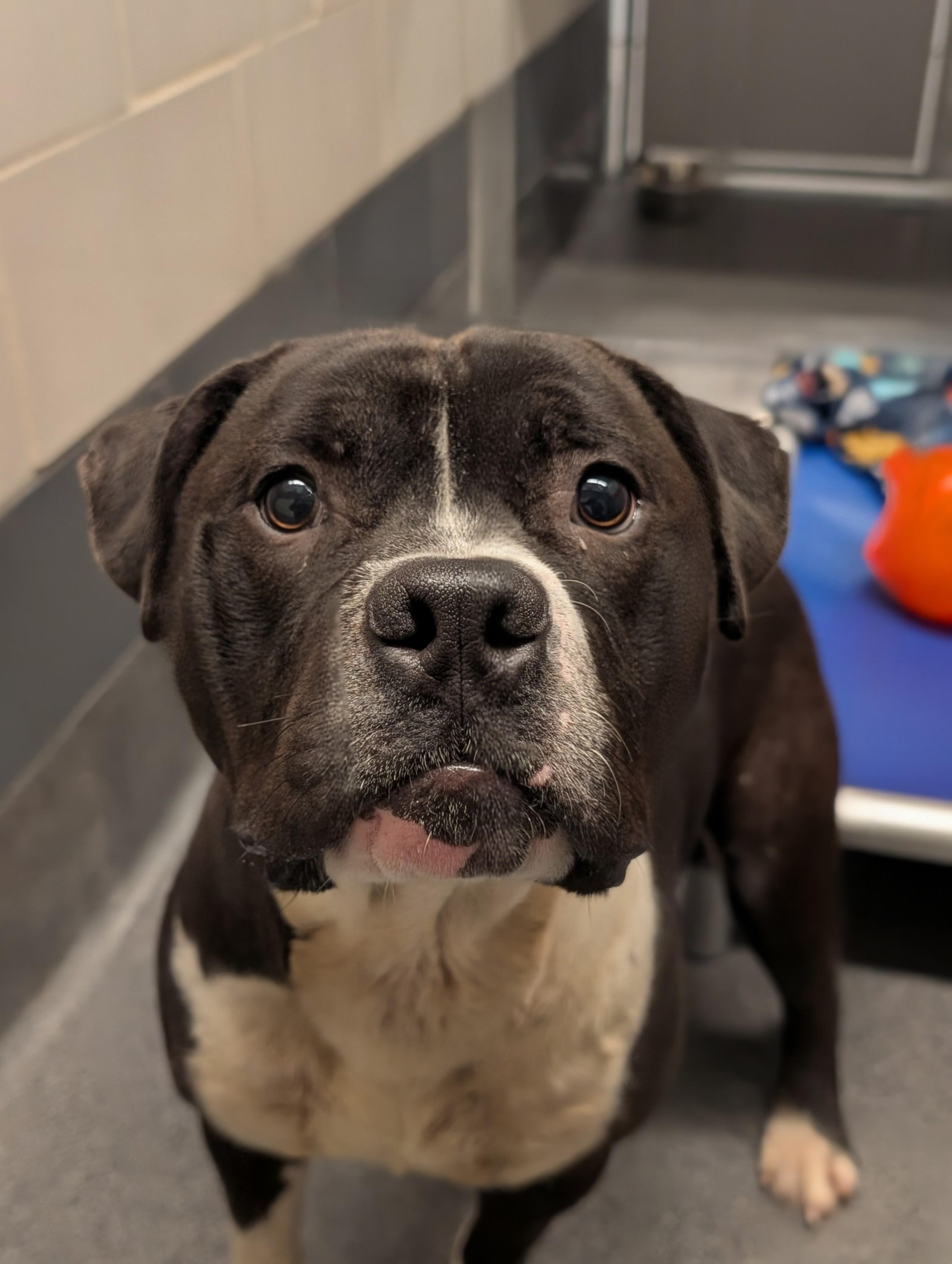 Kodak — thumbnail 2