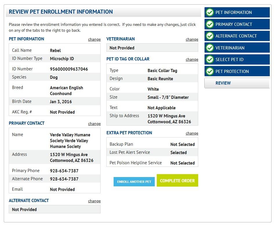 Rubio, Adoptable, Senior Male Hound.