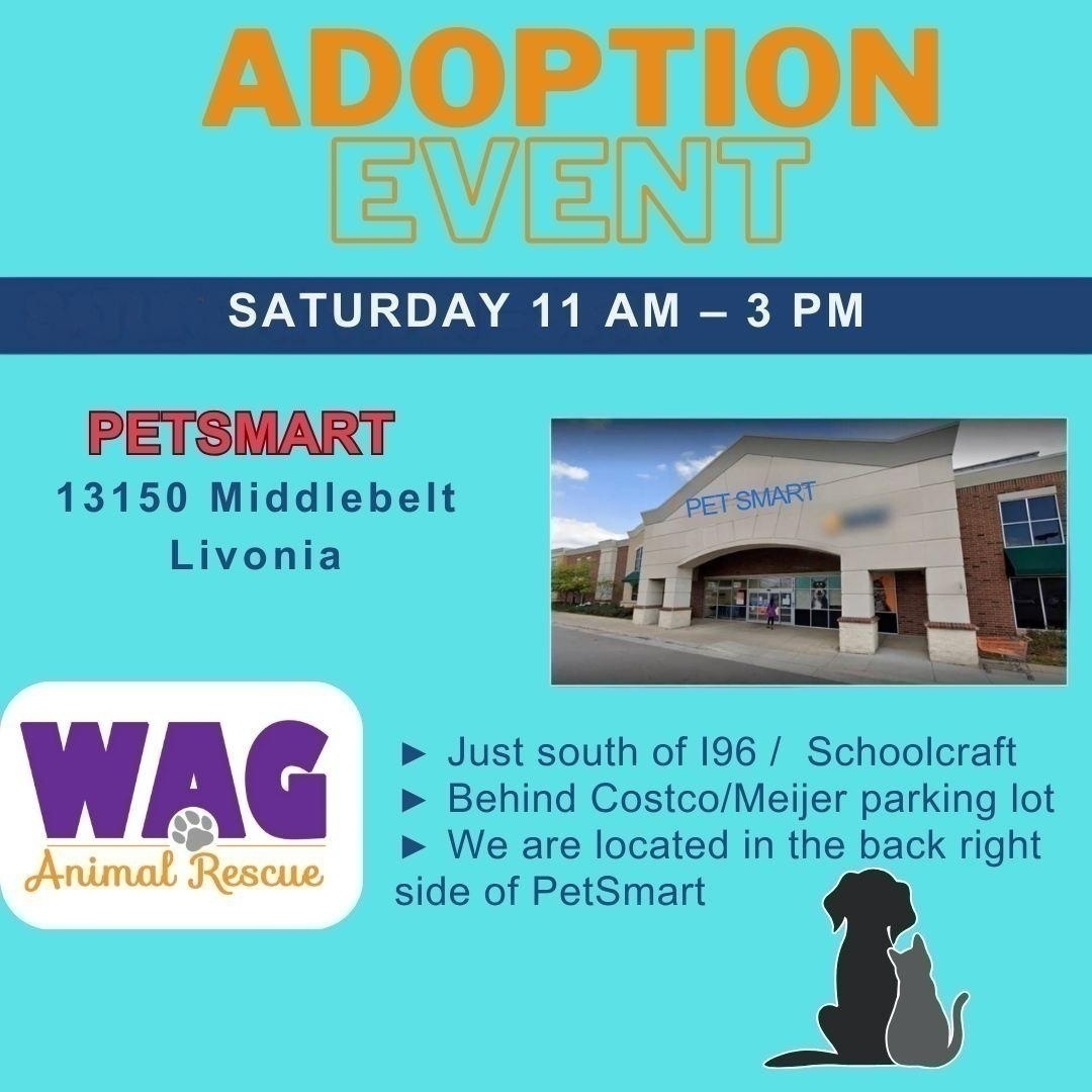 Fiesta @ Livonia PetSmart