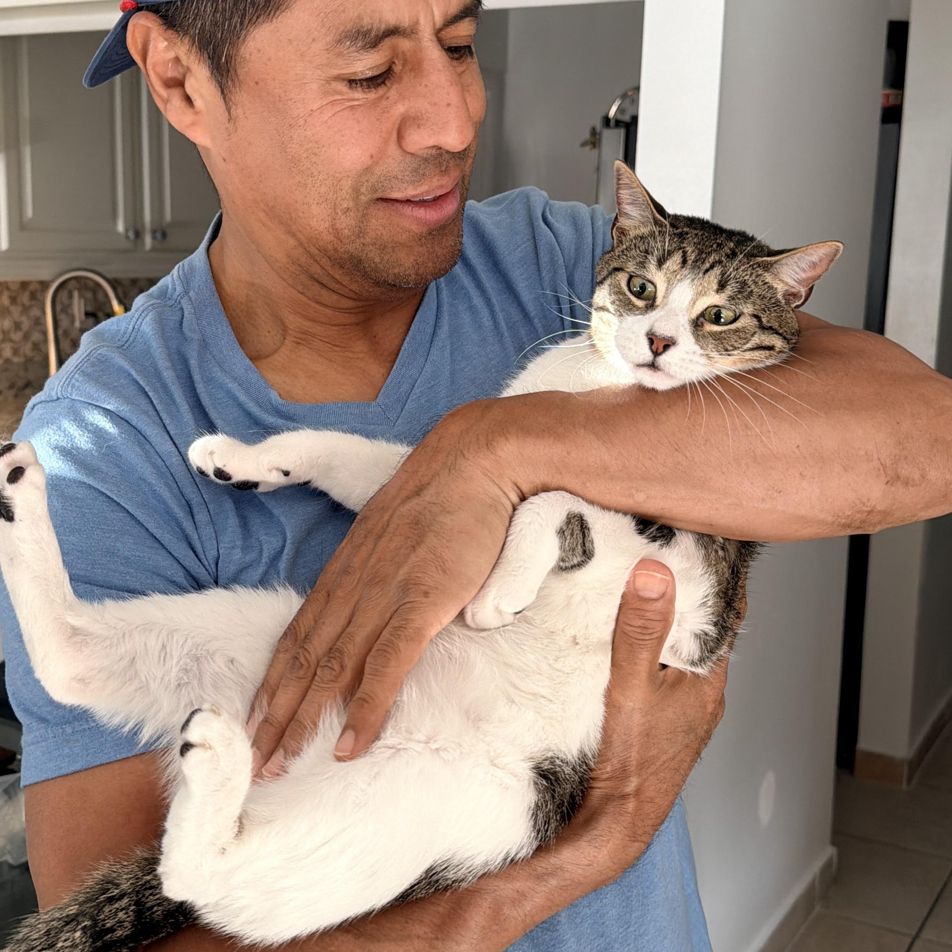 Lucca, an adopted mixed breed in Kissimmee, FL image 5/5