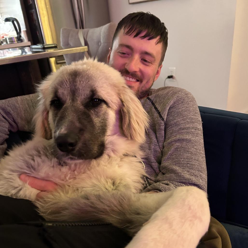 Enlarge Teddy, a Adoptable mixed breed in Fairfax, VA image 2/6