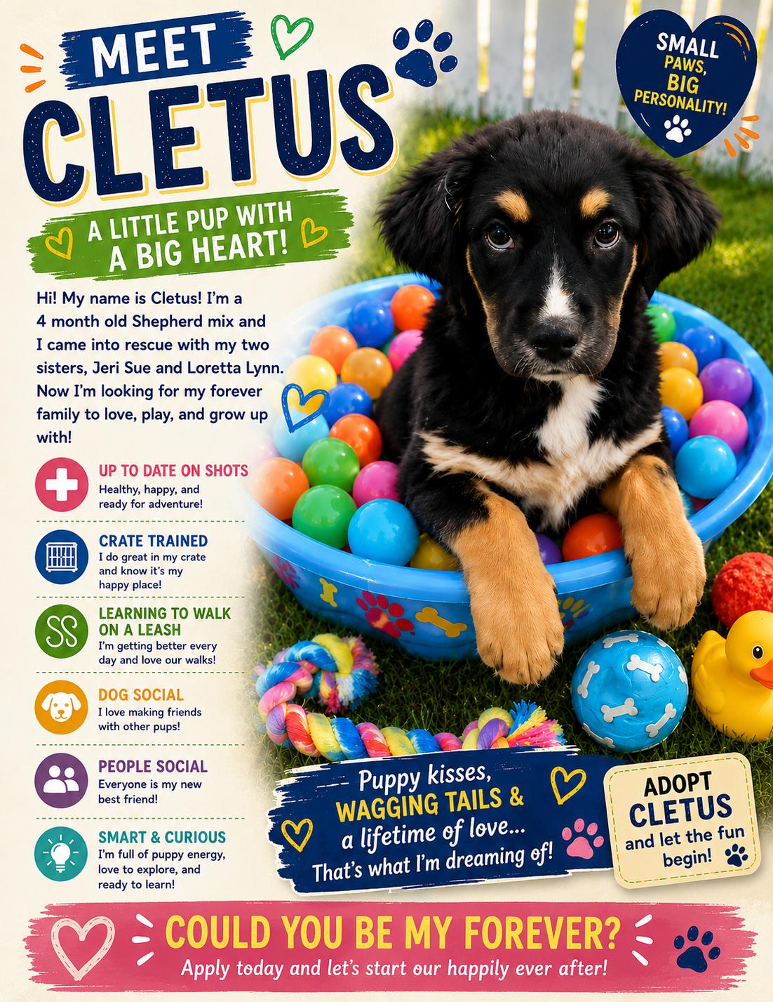 Enlarge Cletus, a ADOPTABLE Mixed Breed in Ashland, KY image 2/3