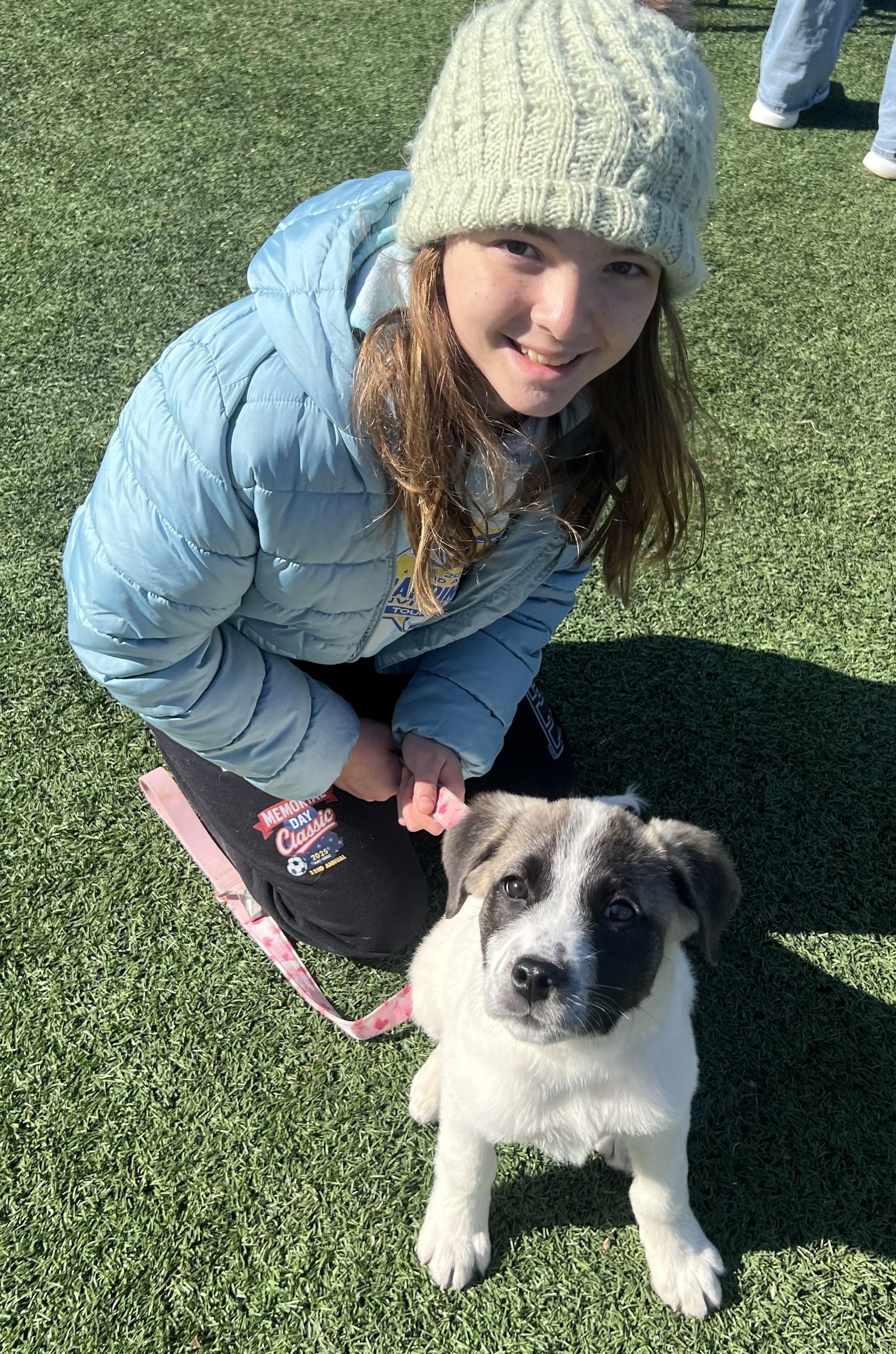 Enlarge Lucy - in New England , a ADOPTABLE Mixed Breed in Wellesley , MA image 5/6