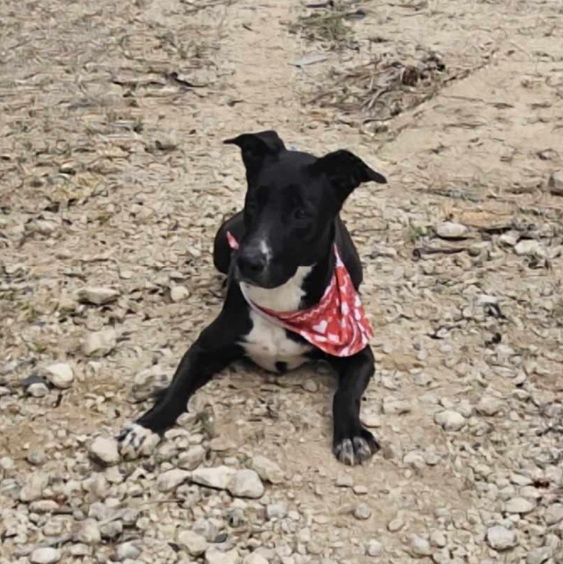 Aurora — thumbnail 3