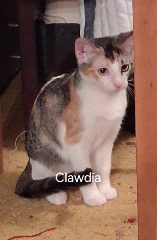 Clawdia photo