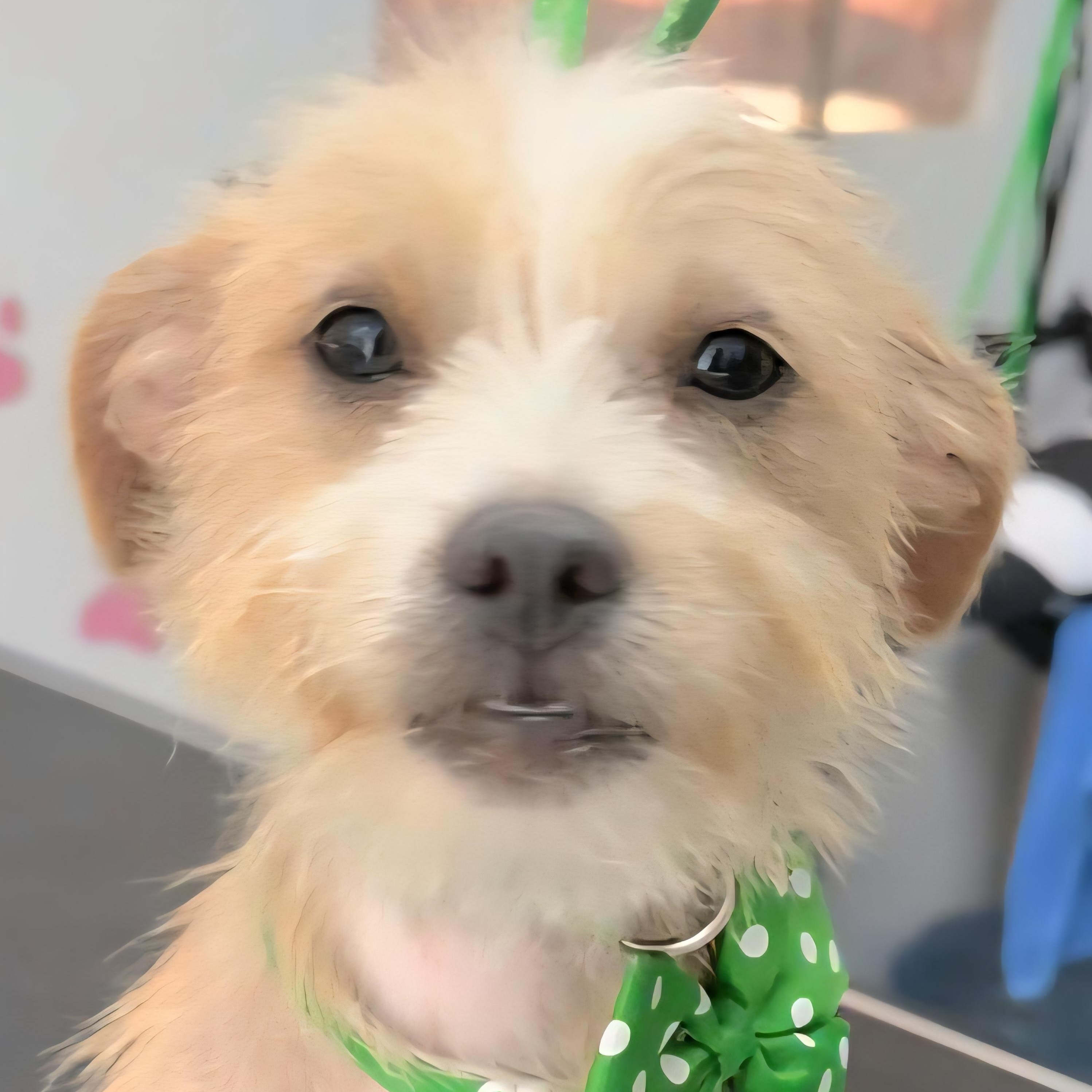 Ayla Elise "your.baby Girl."