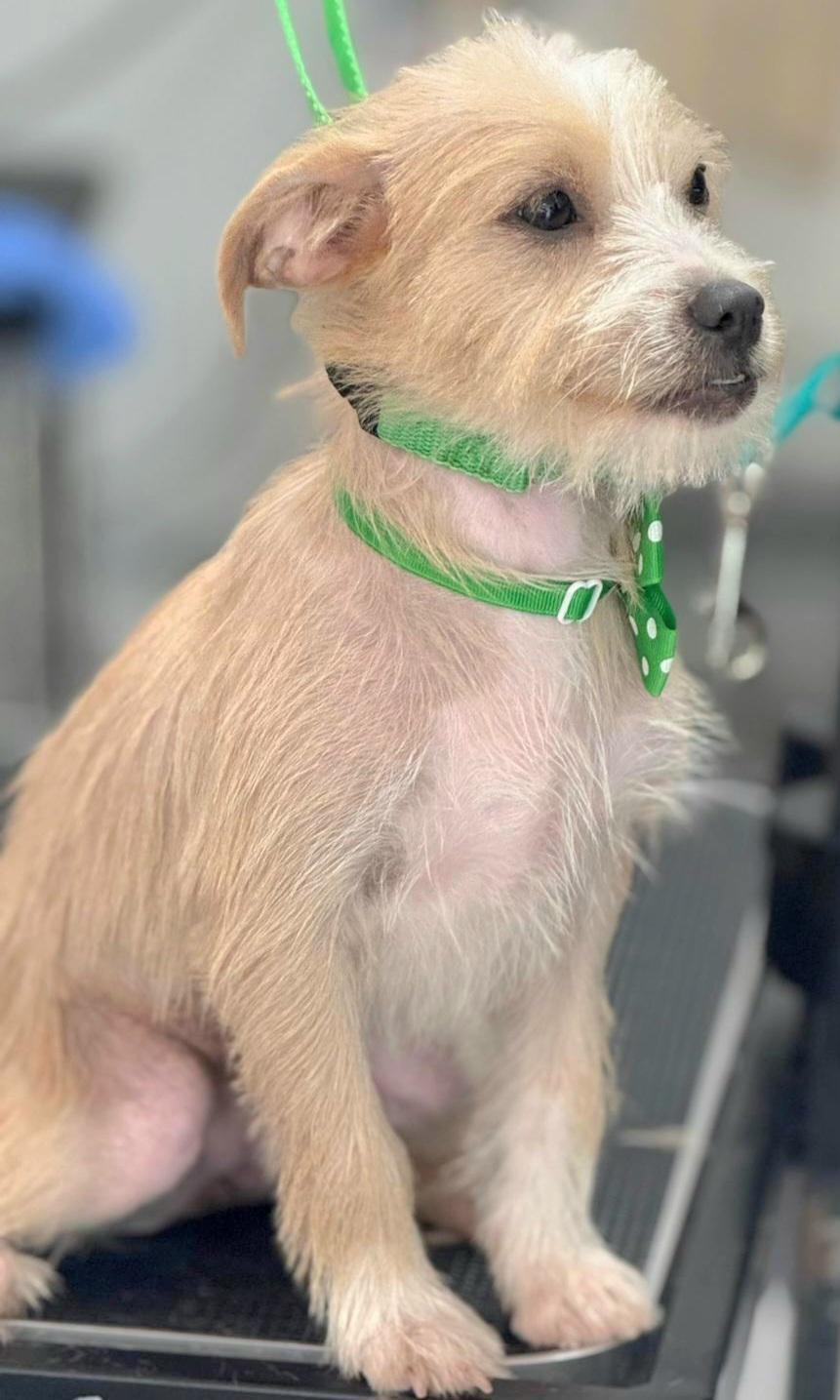 Ayla Elise "your.baby Girl." thumbnail 5