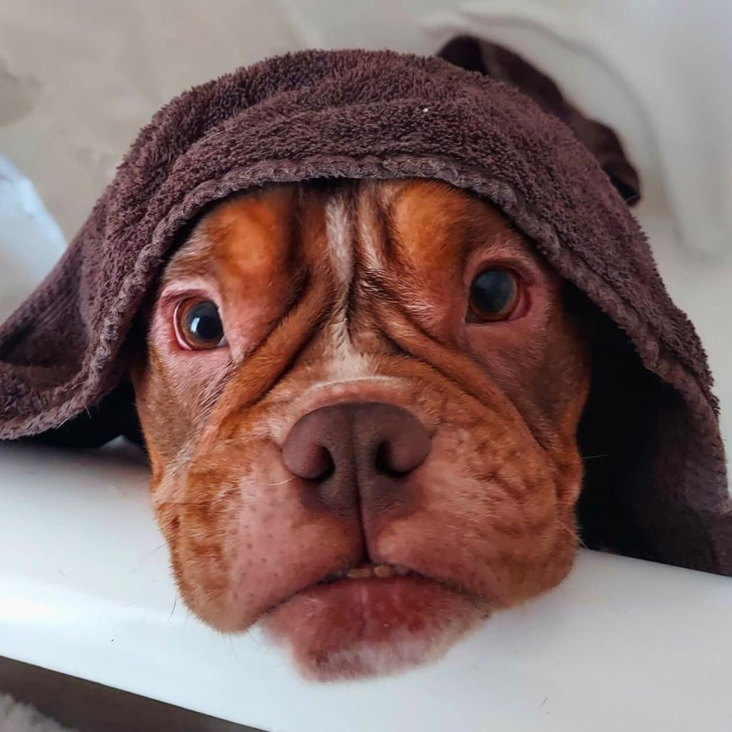 Misa — thumbnail 2