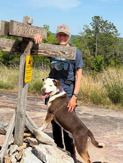 Hunter, Adoptable, Puppy Male Labrador Retriever & Terrier.