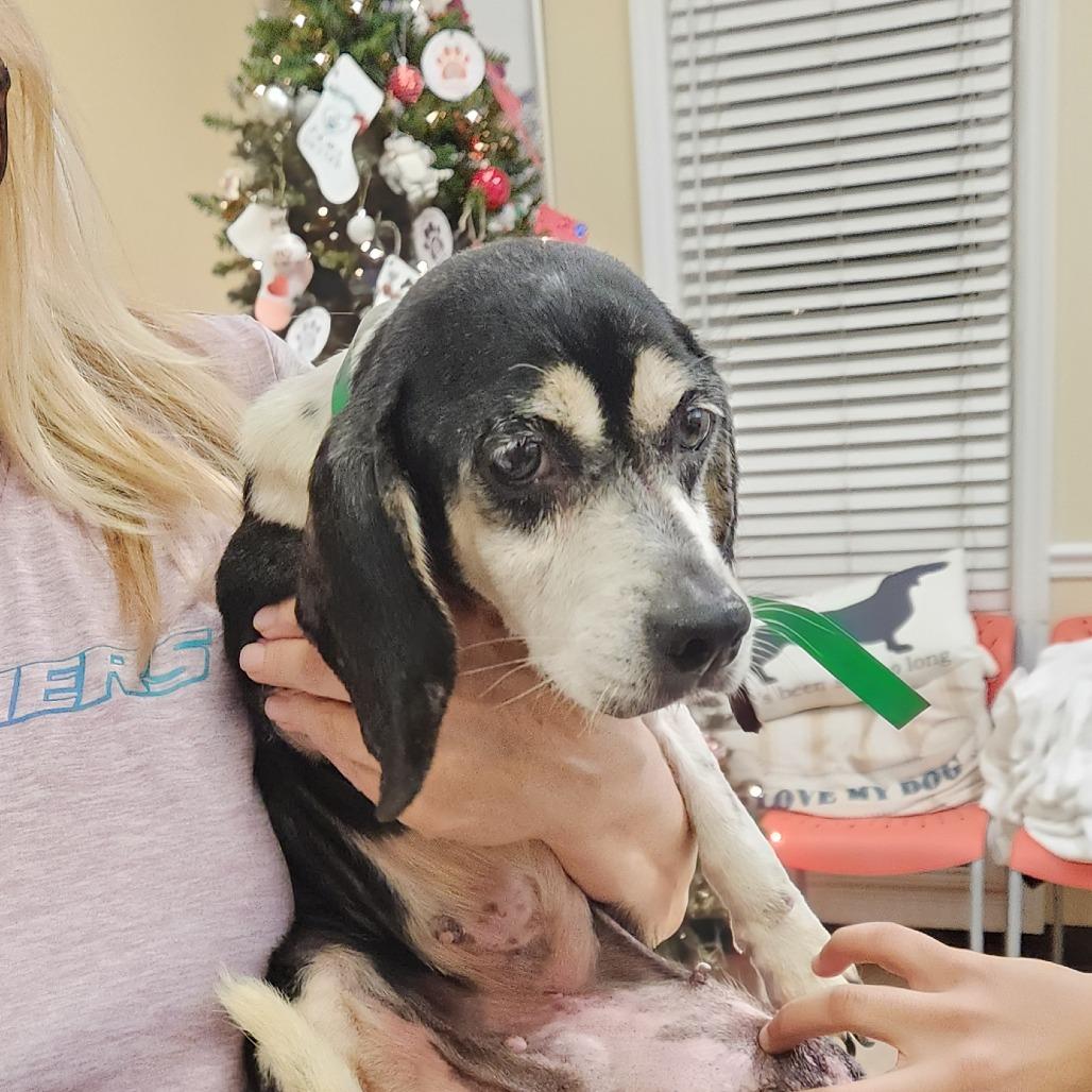 Baylee 22081 — thumbnail 4