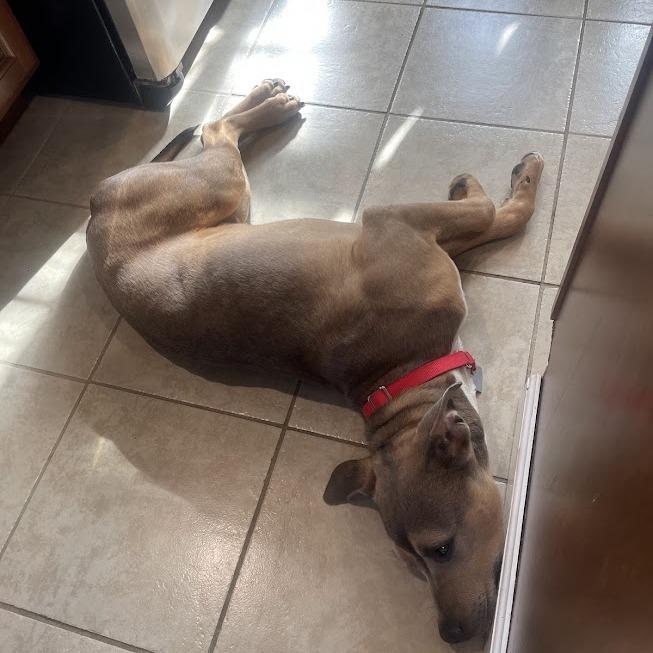 Aries — thumbnail 3