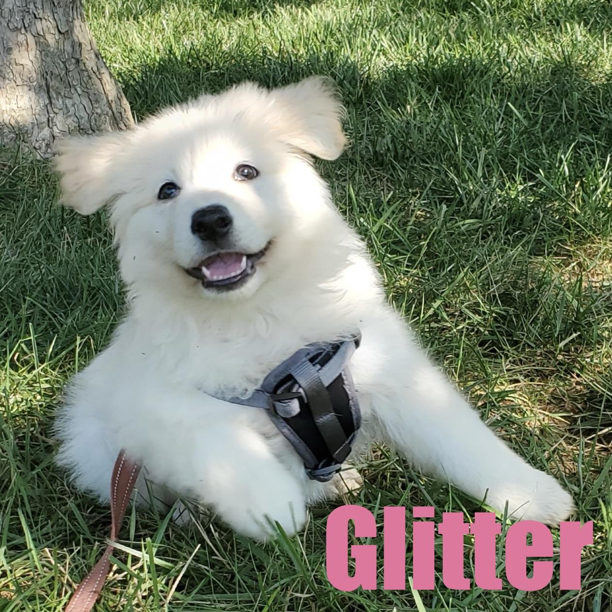 Glitter