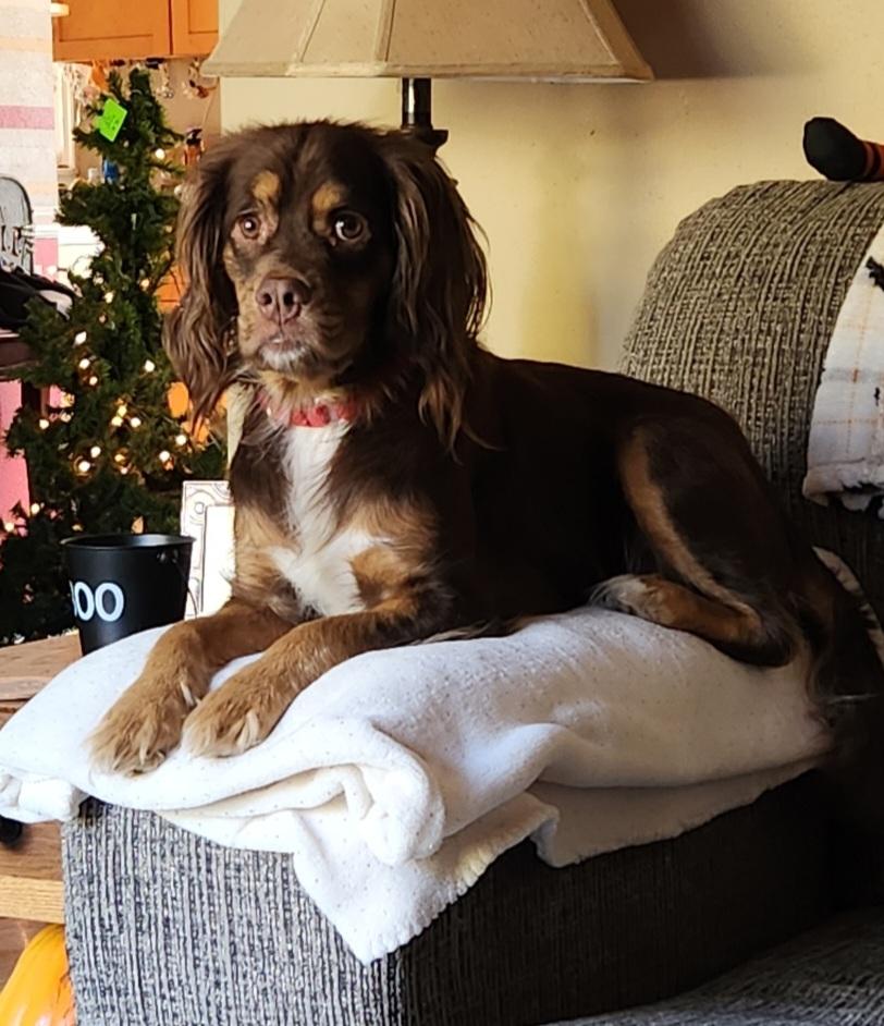 Dakota- TAKING APPLICATIONS