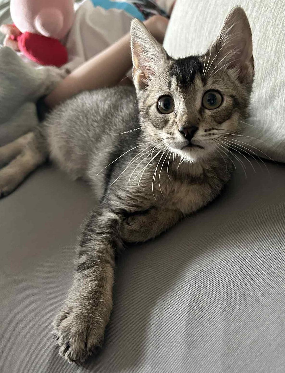 Tyson