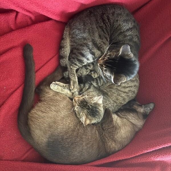 Camie G — thumbnail 2