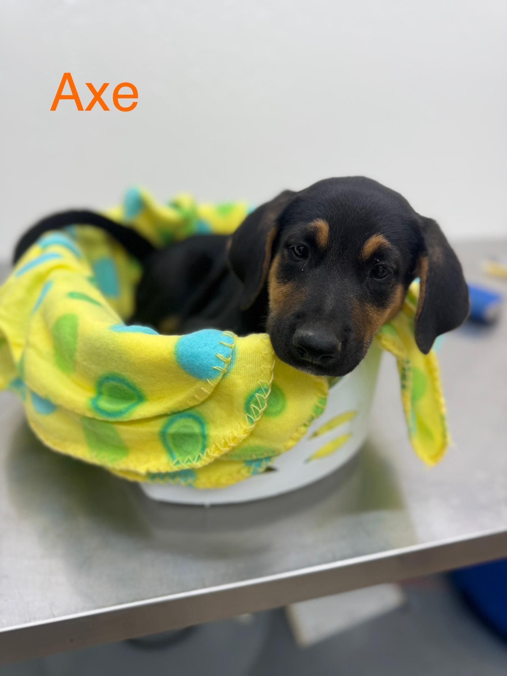 Axe 0125