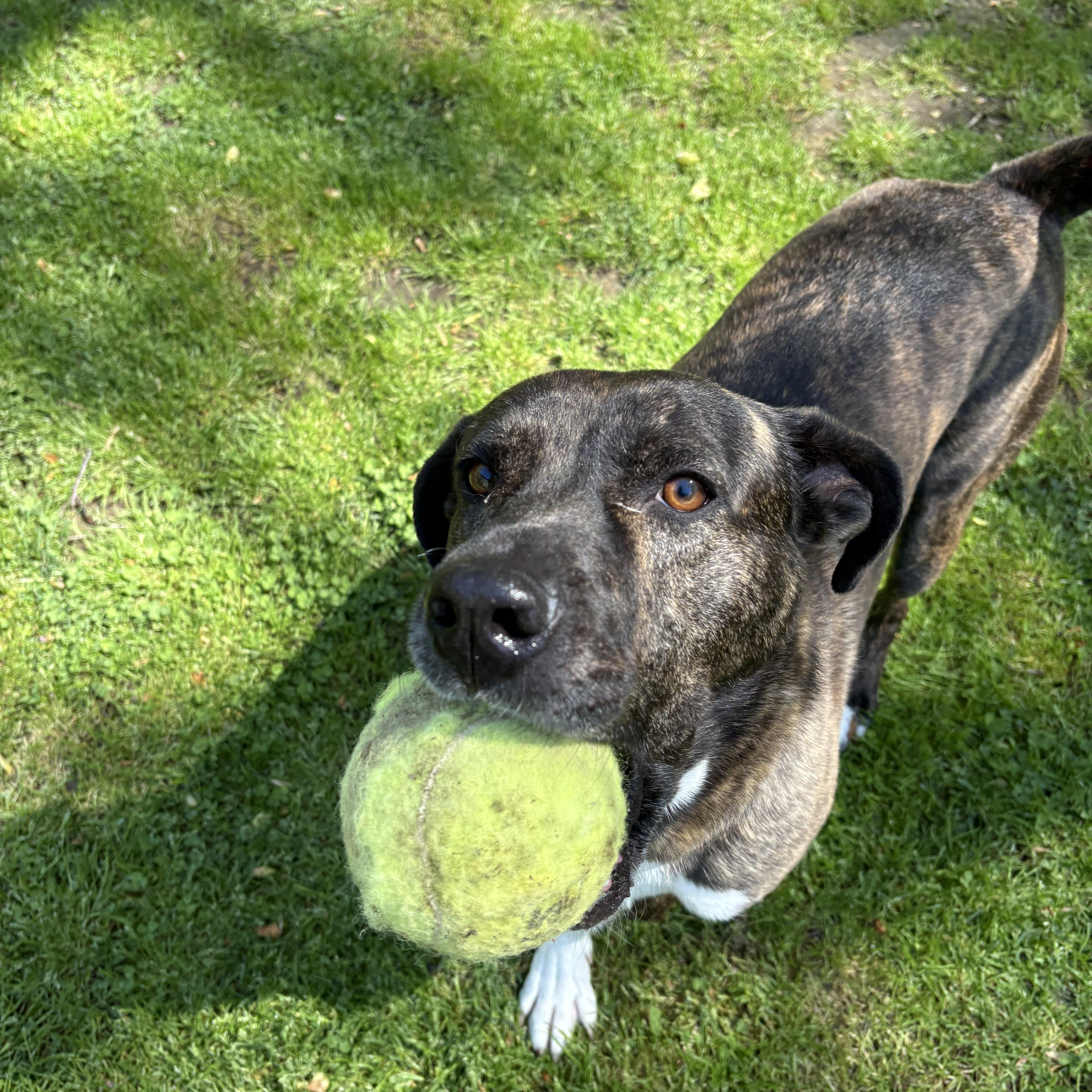 Brody photo 2