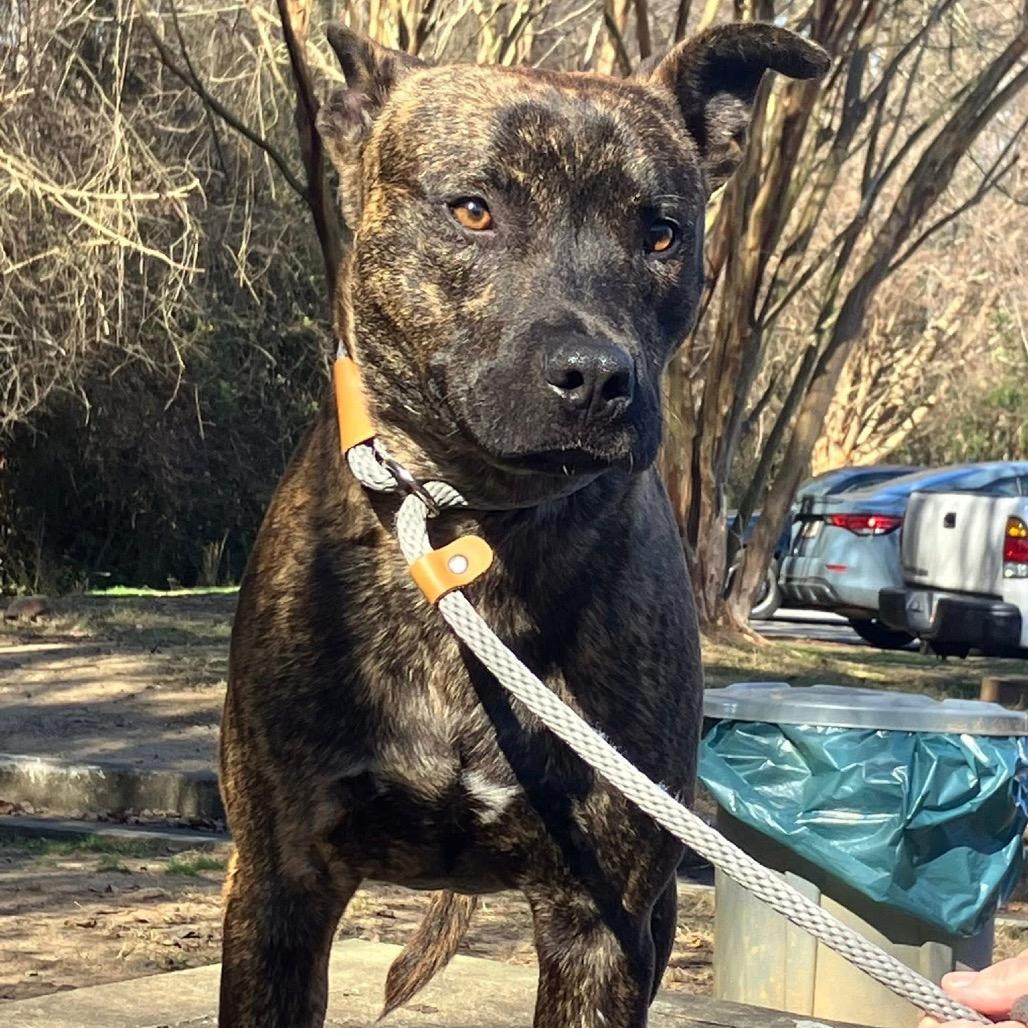 Sunkist 4771 — thumbnail 3