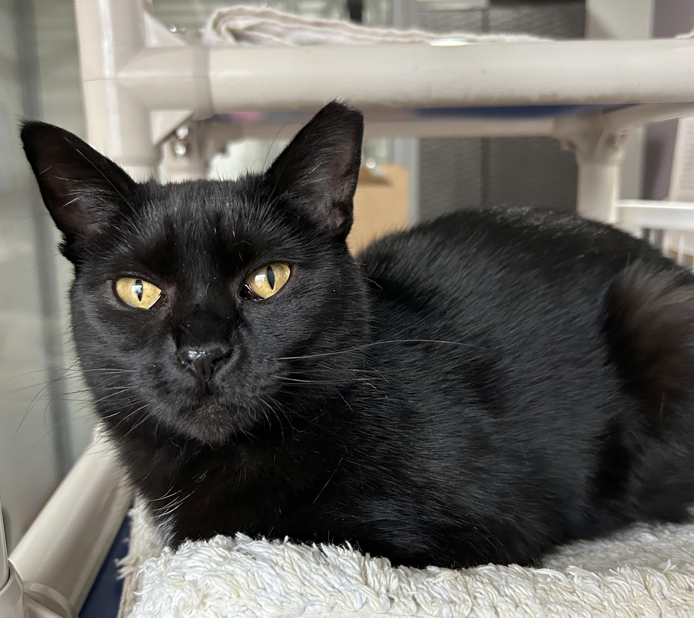 Beverly — thumbnail 5