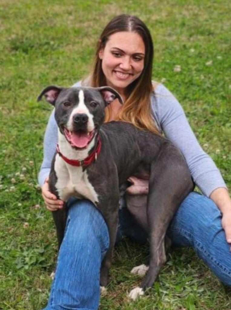 Smoke, a Adoptable mixed breed in Hartsville, SC image 5/6