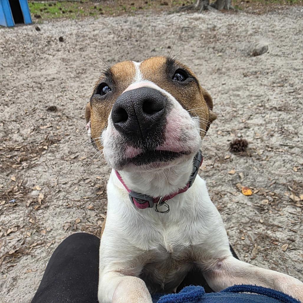 Birdy — thumbnail 3