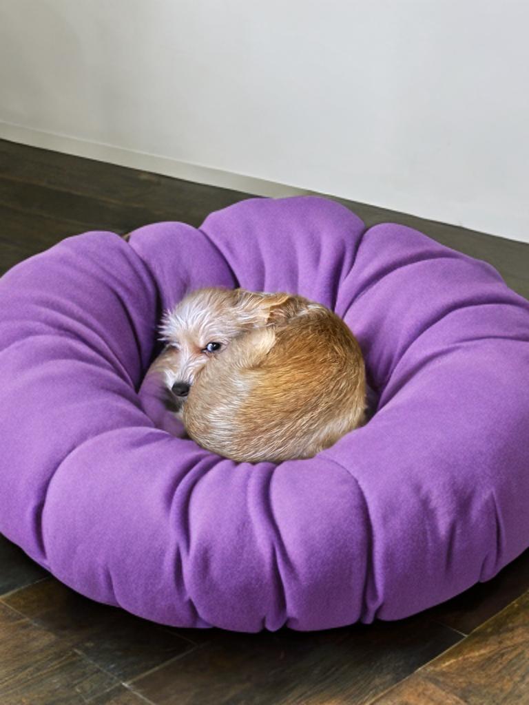 Marti, a Adopted mixed breed in San Antonio, TX image 3/4