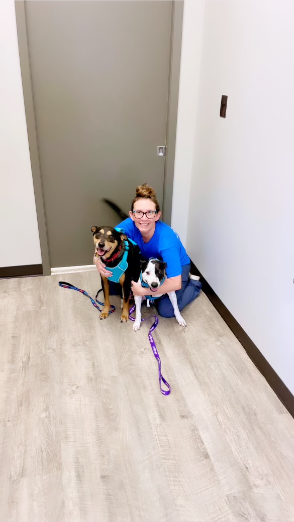 Enlarge Henry “Hinny Honey”, a Adoptable mixed breed in Inez, TX image 4/6