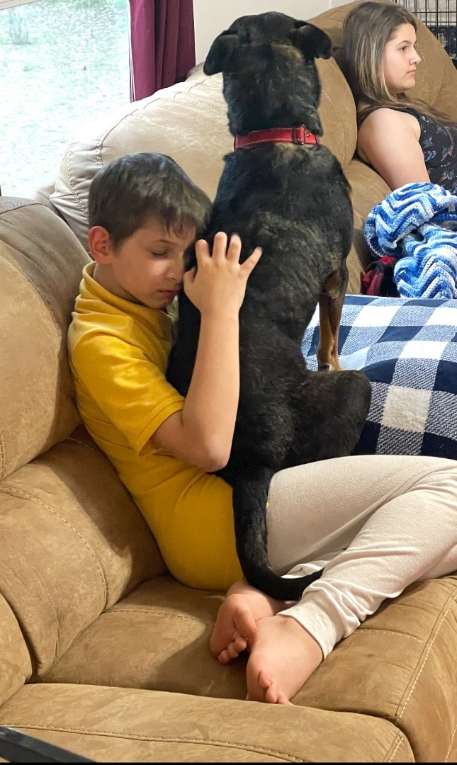 Enlarge Henry “Hinny Honey”, a Adoptable mixed breed in Inez, TX image 5/6