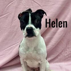 Helen