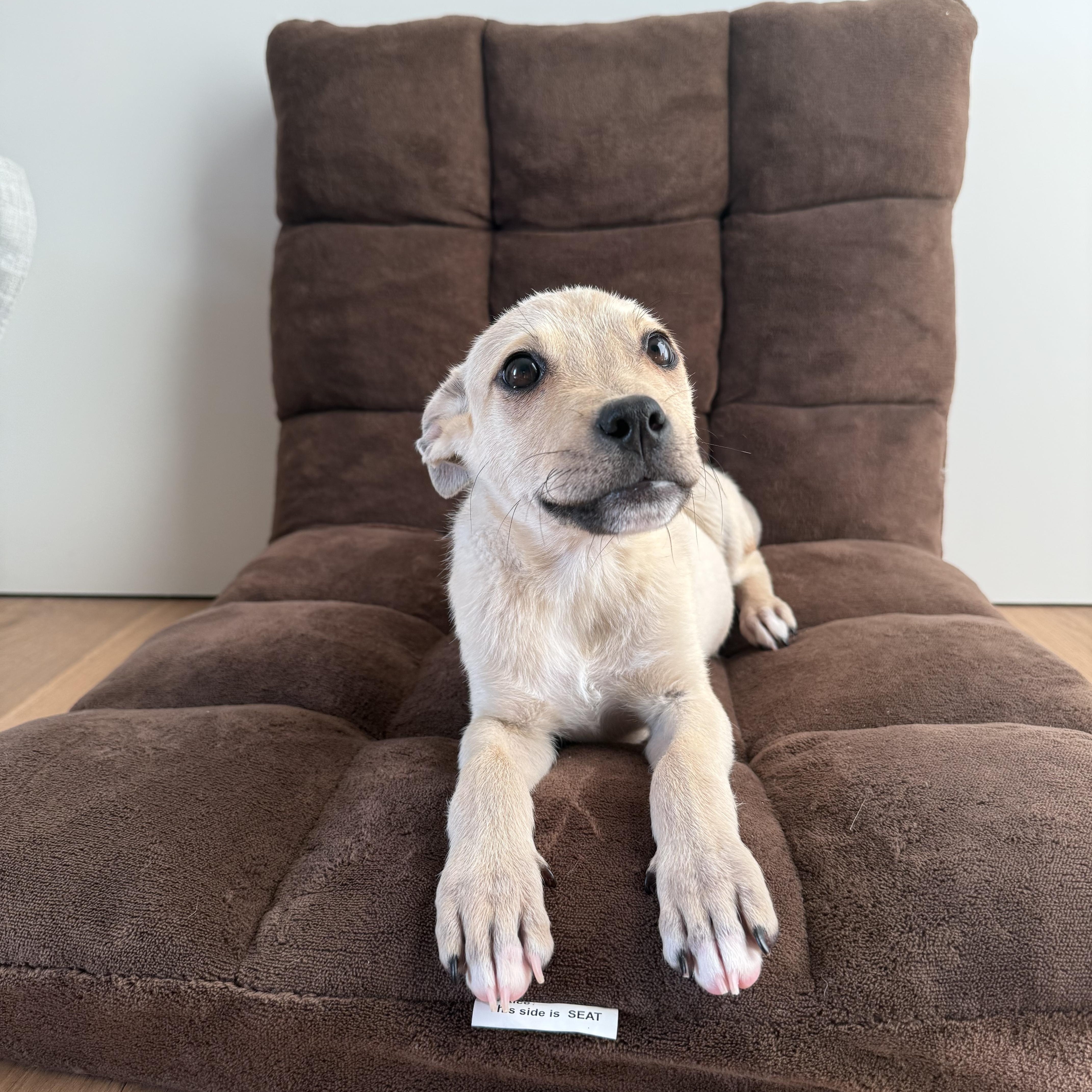 Milky~ Aka Smiley Boy thumbnail 2