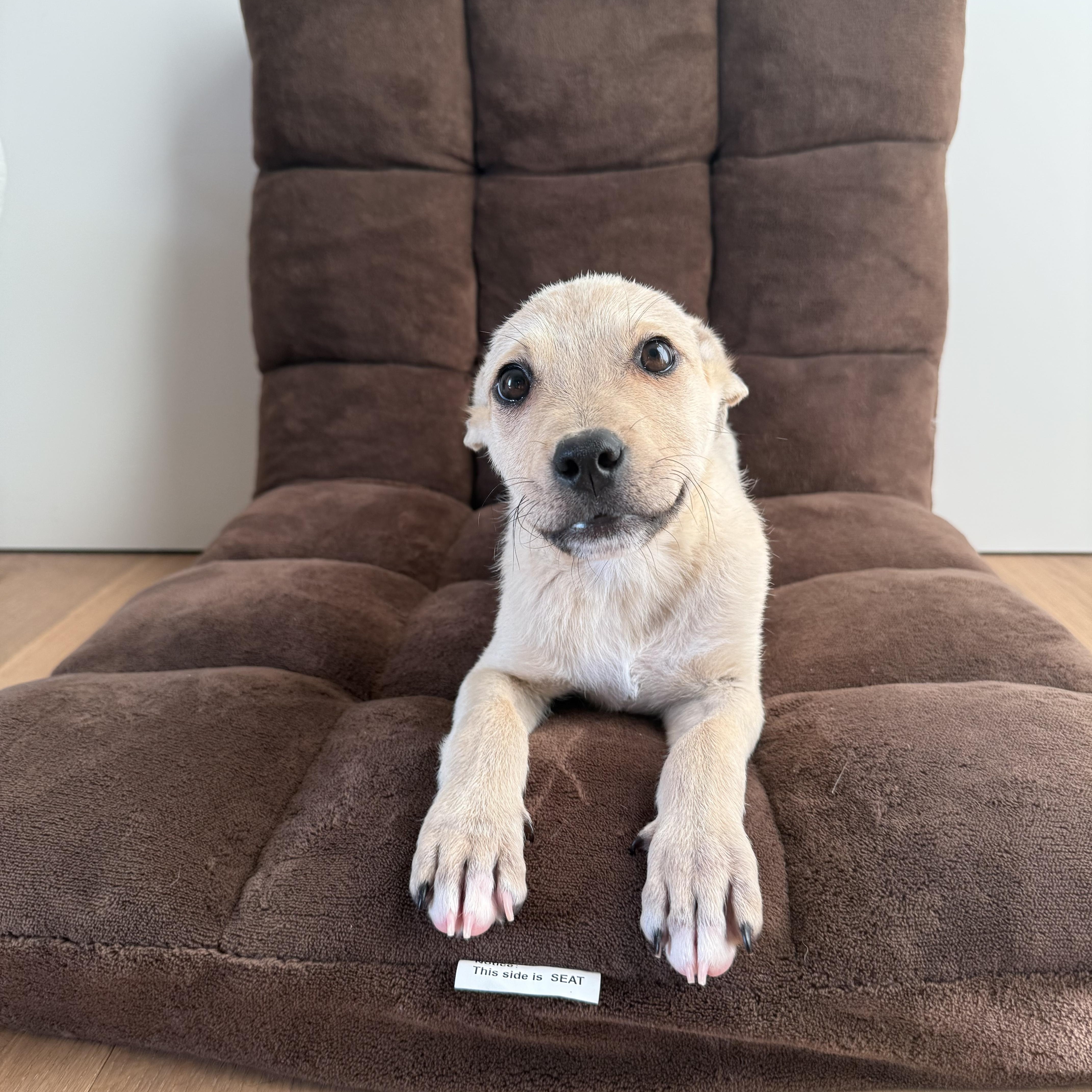 Milky~ Aka Smiley Boy thumbnail 4