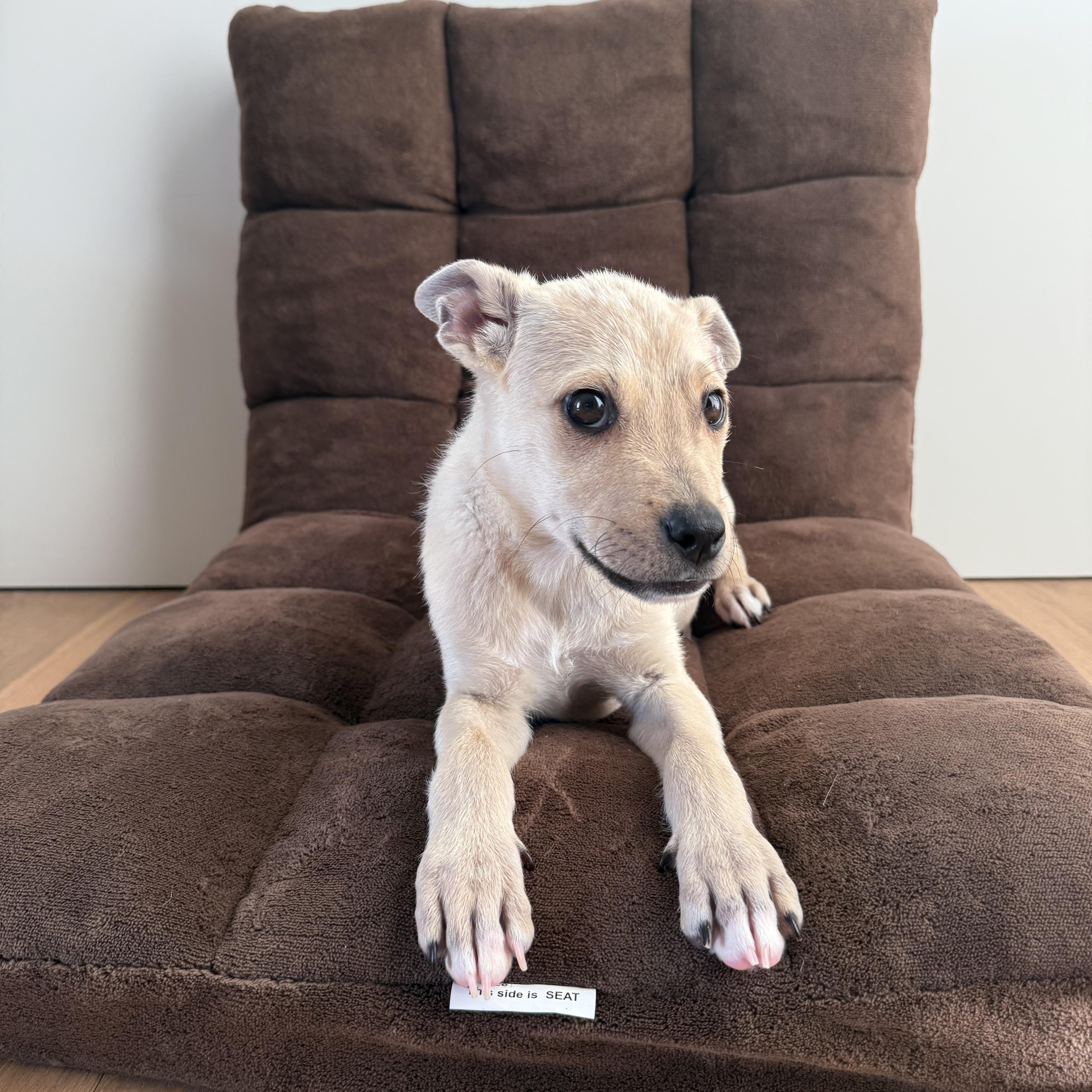 Milky~ Aka Smiley Boy