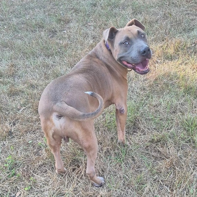 Mac........the Macnificent! thumbnail 3