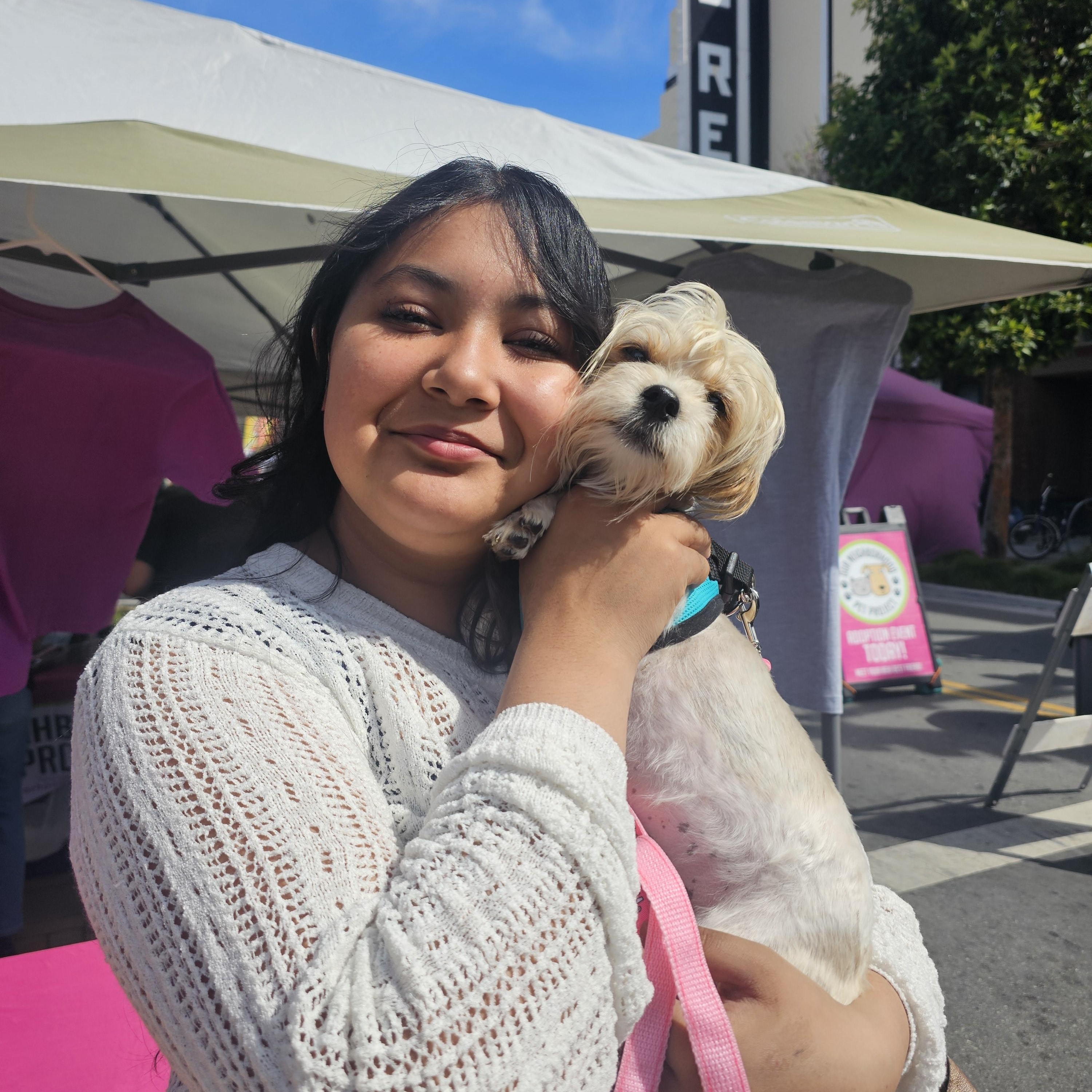 Enlarge Banderas, a ADOPTABLE mixed breed in San Jose, CA image 4/6