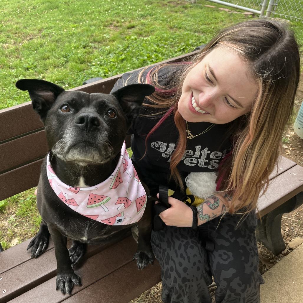 Wendy, a Adoptable mixed breed in Nashville, TN image 6/6