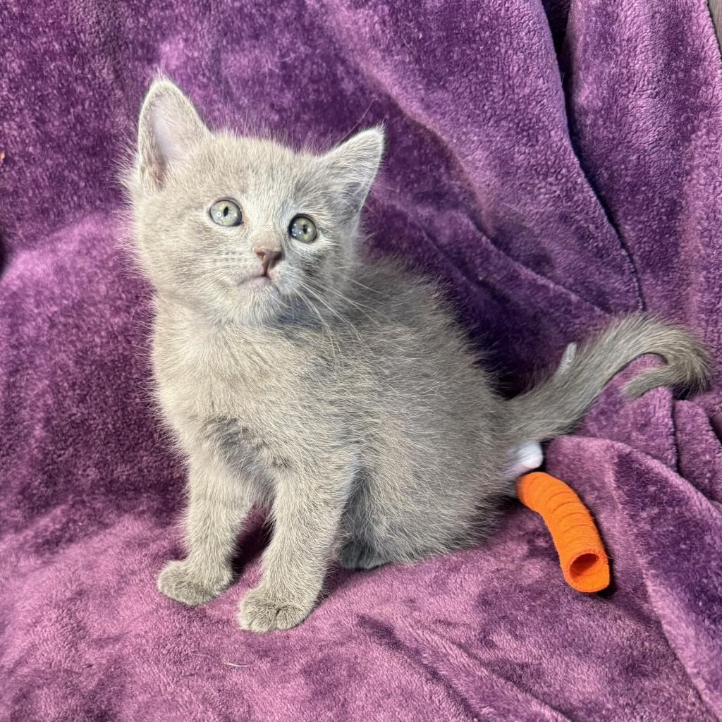 Camila — thumbnail 2