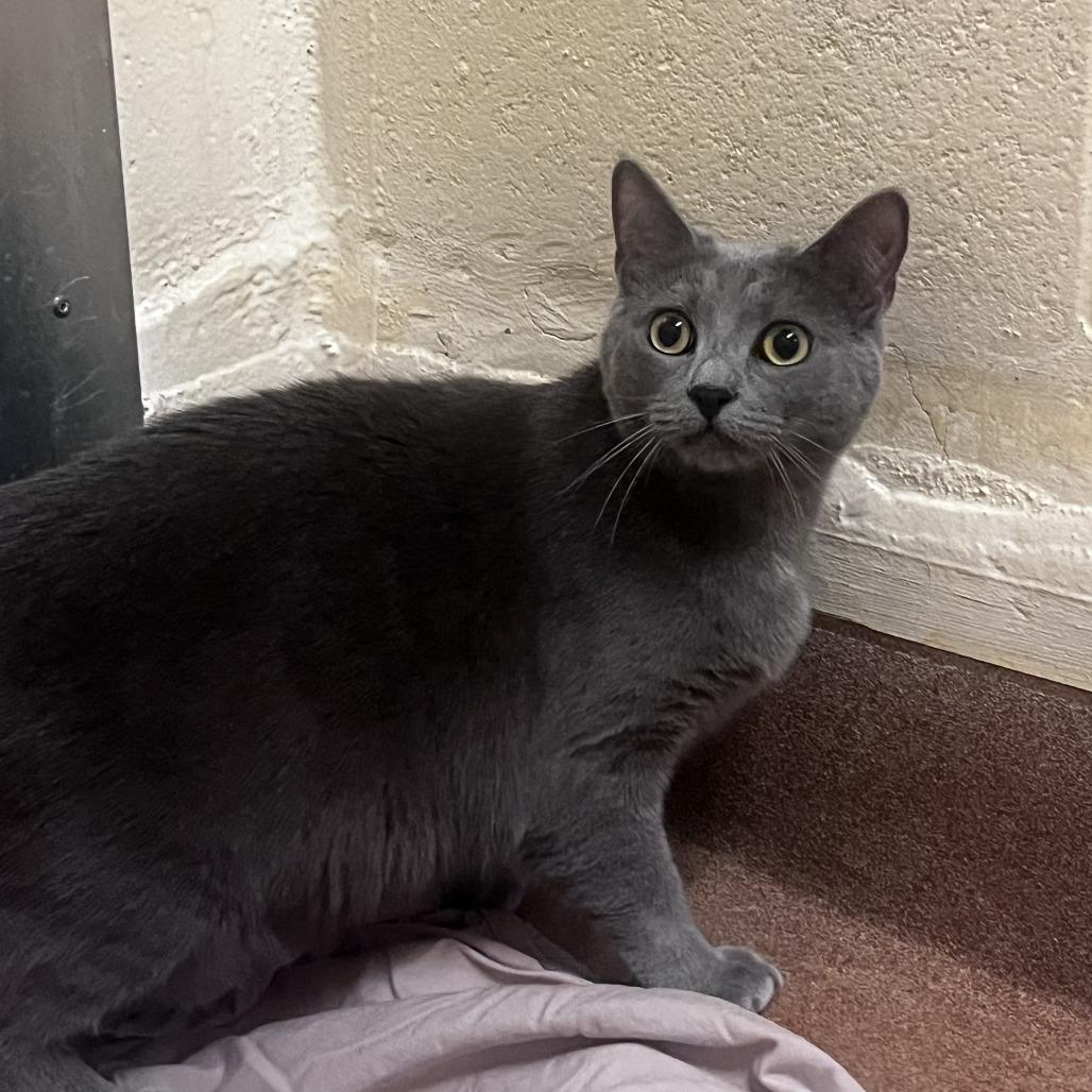 Camila — thumbnail 3