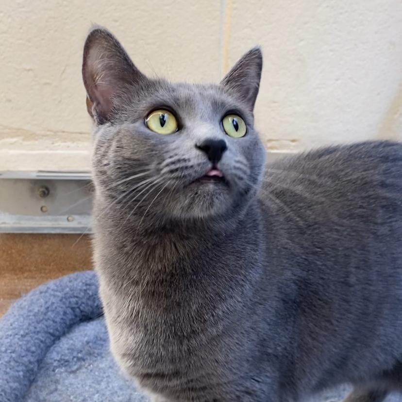 Camila — thumbnail 4