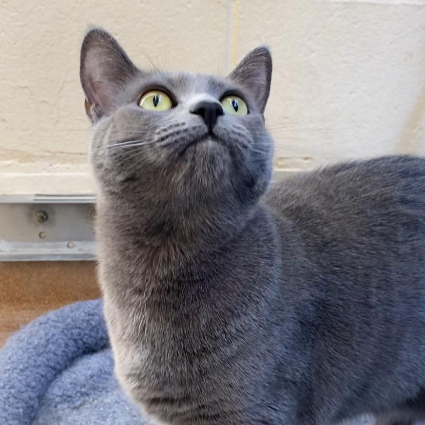 Camila — thumbnail 5