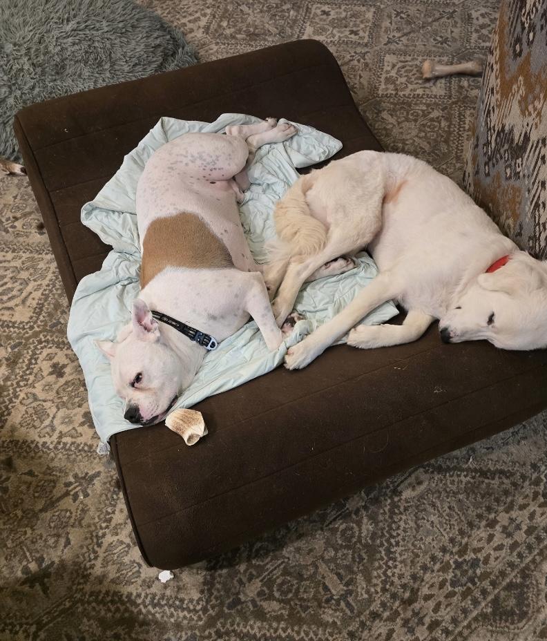 Elsa Ask to Meet!! In Foster!!