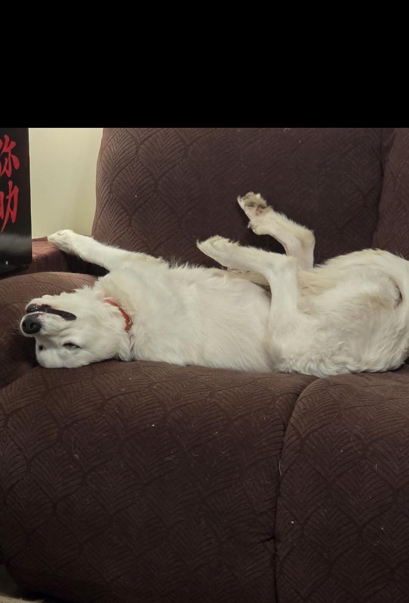 Elsa Ask to Meet!! In Foster!!