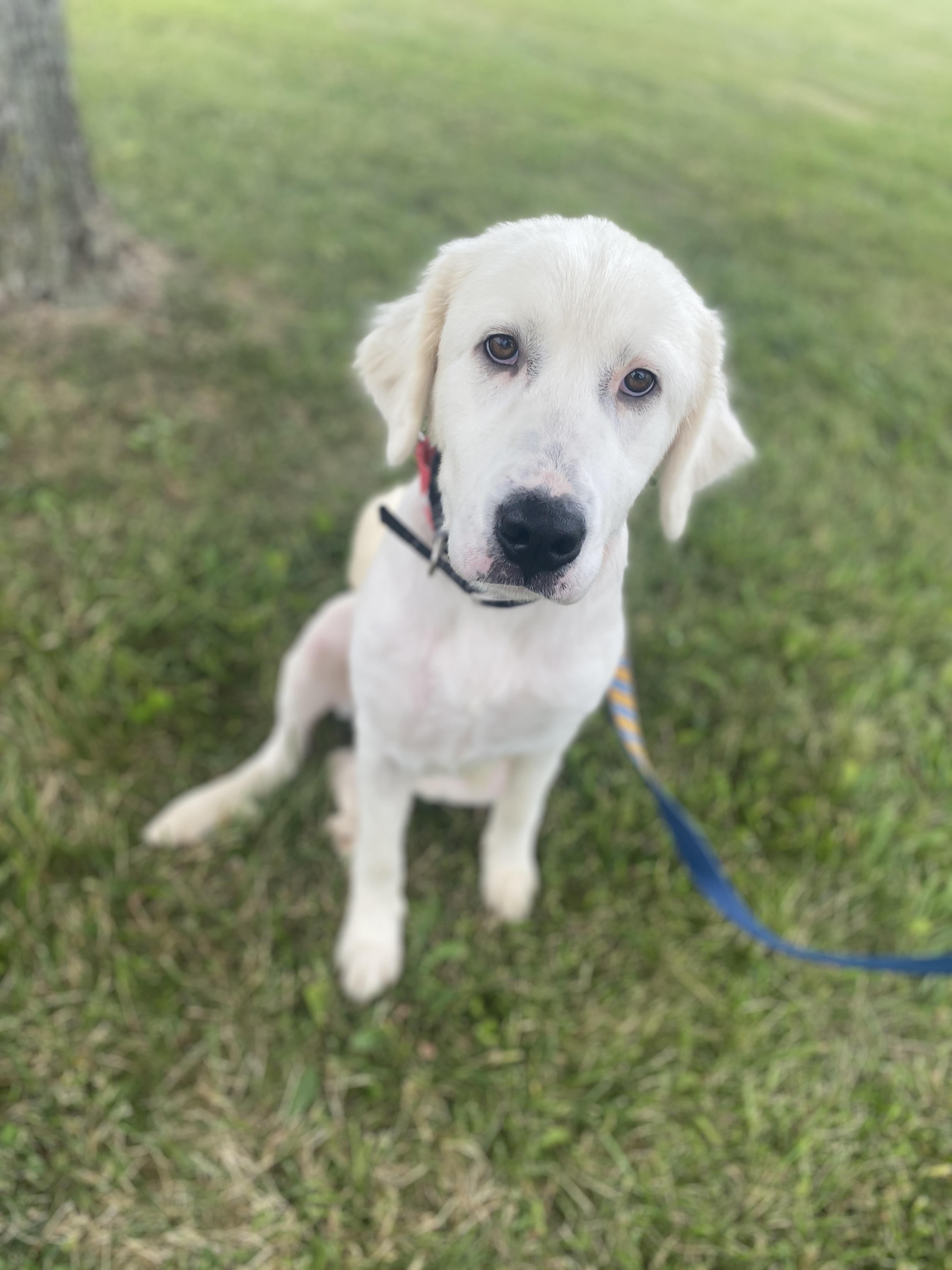 Elsa Ask to Meet!! In Foster!!